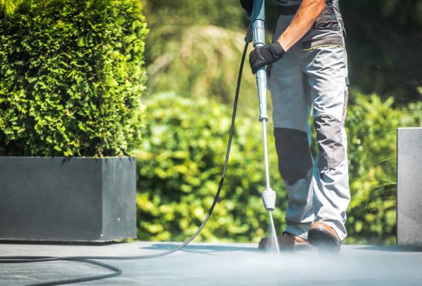 Best Paint Preparation  in Johnstown, NY